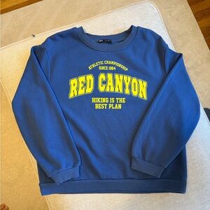 Zara Blue Sweatshirt with Yellow Graphic